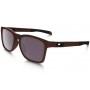 Oakley Catalyst PRIZM sunglasses Corten frame / Prizm Daily Polarized lens