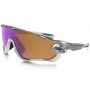 Oakley Jawbreaker PRIZM sunglasses silver frame / Prizm Trail lens(Asia Fit)