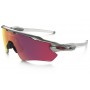 Oakley Radar EV Path PRIZM sunglasses silver frame / prizm baseball lens