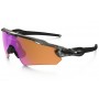 Oakley Radar EV Path PRIZM Trail sunglasses Gray Ink frame / Prizm Trail lens(Asia fit)